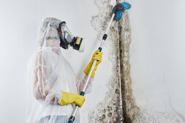 Best Mold Removal Process  in Foxfire, NC