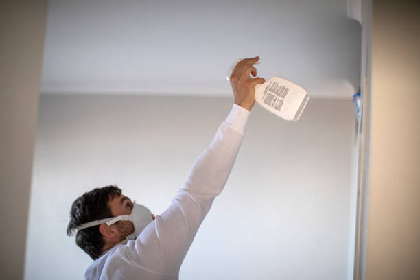 Best Mold Removal Company Near Me  in Foxfire, NC