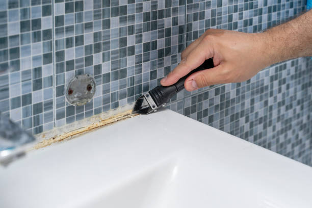 Best Mold Testing  in Foxfire, NC