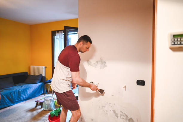 Office Mold Removal Services in Foxfire, NC