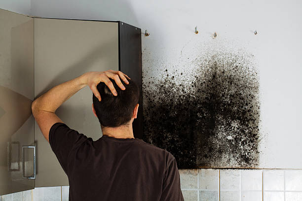 Best Attic Mold Removal  in Foxfire, NC